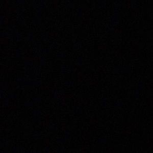 Meet your Posher, Hector